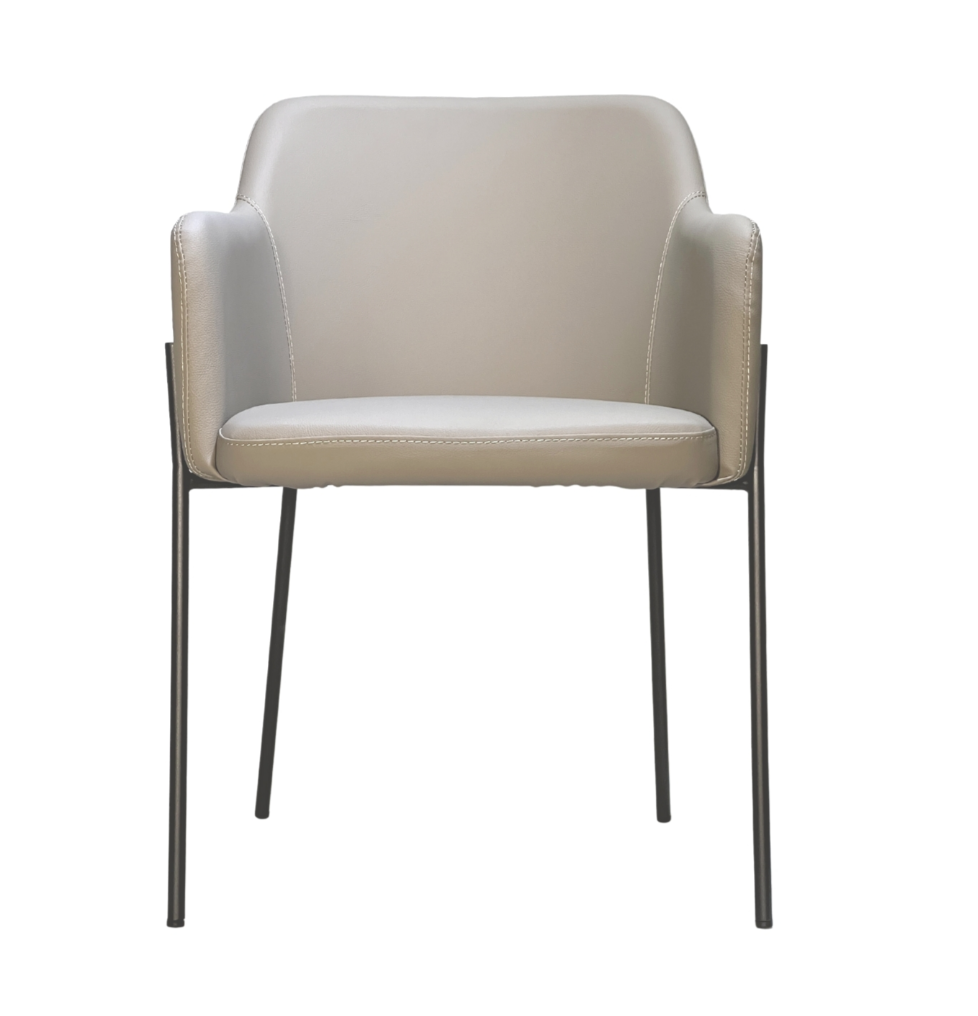 Martin Dining Chair