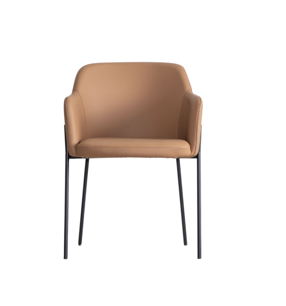 Martin Dining Chair