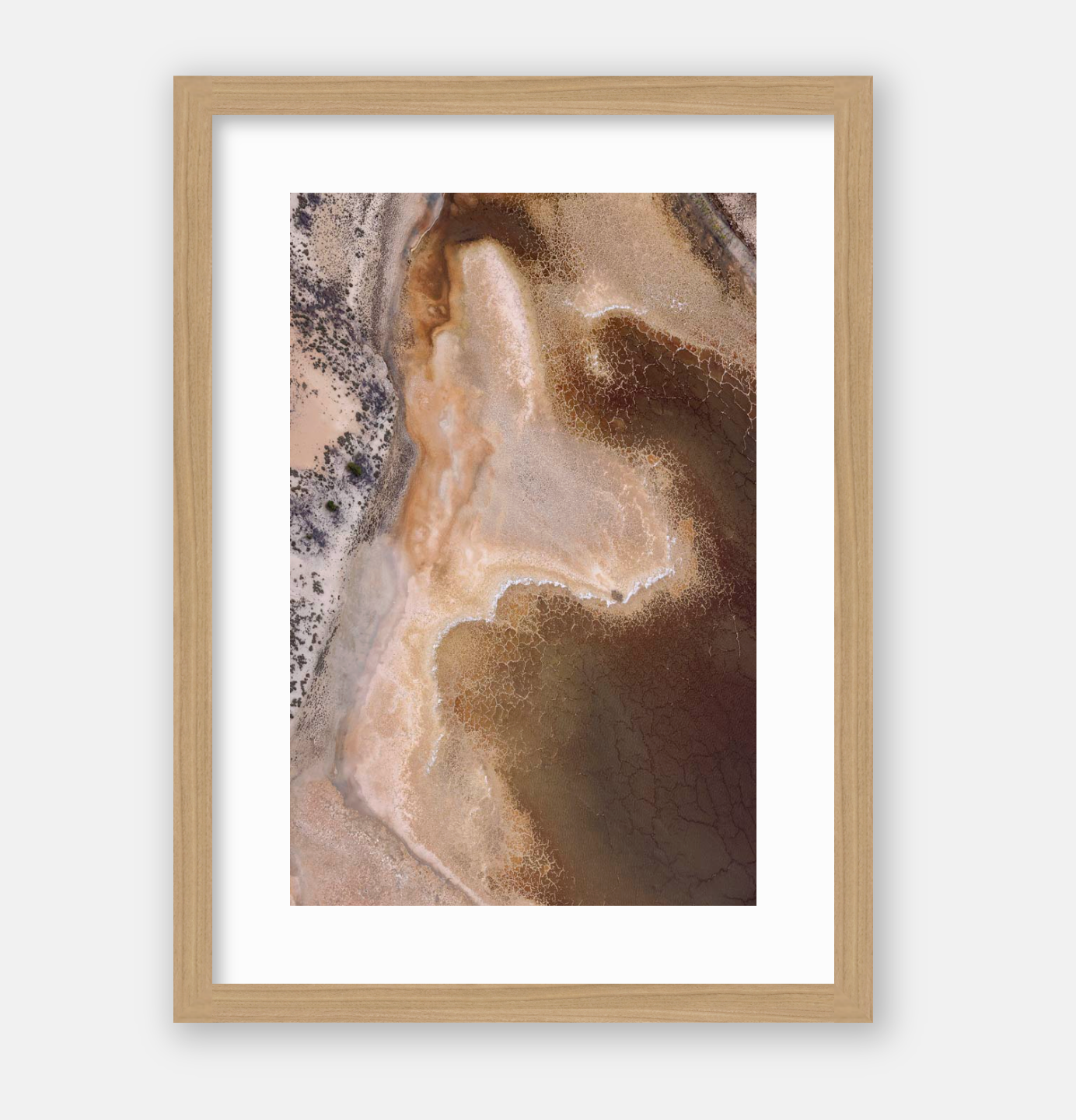 Dried Tones Art Print