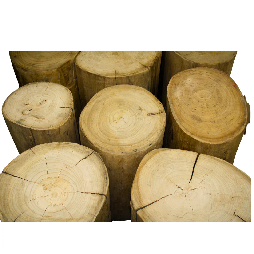 Elm Logs