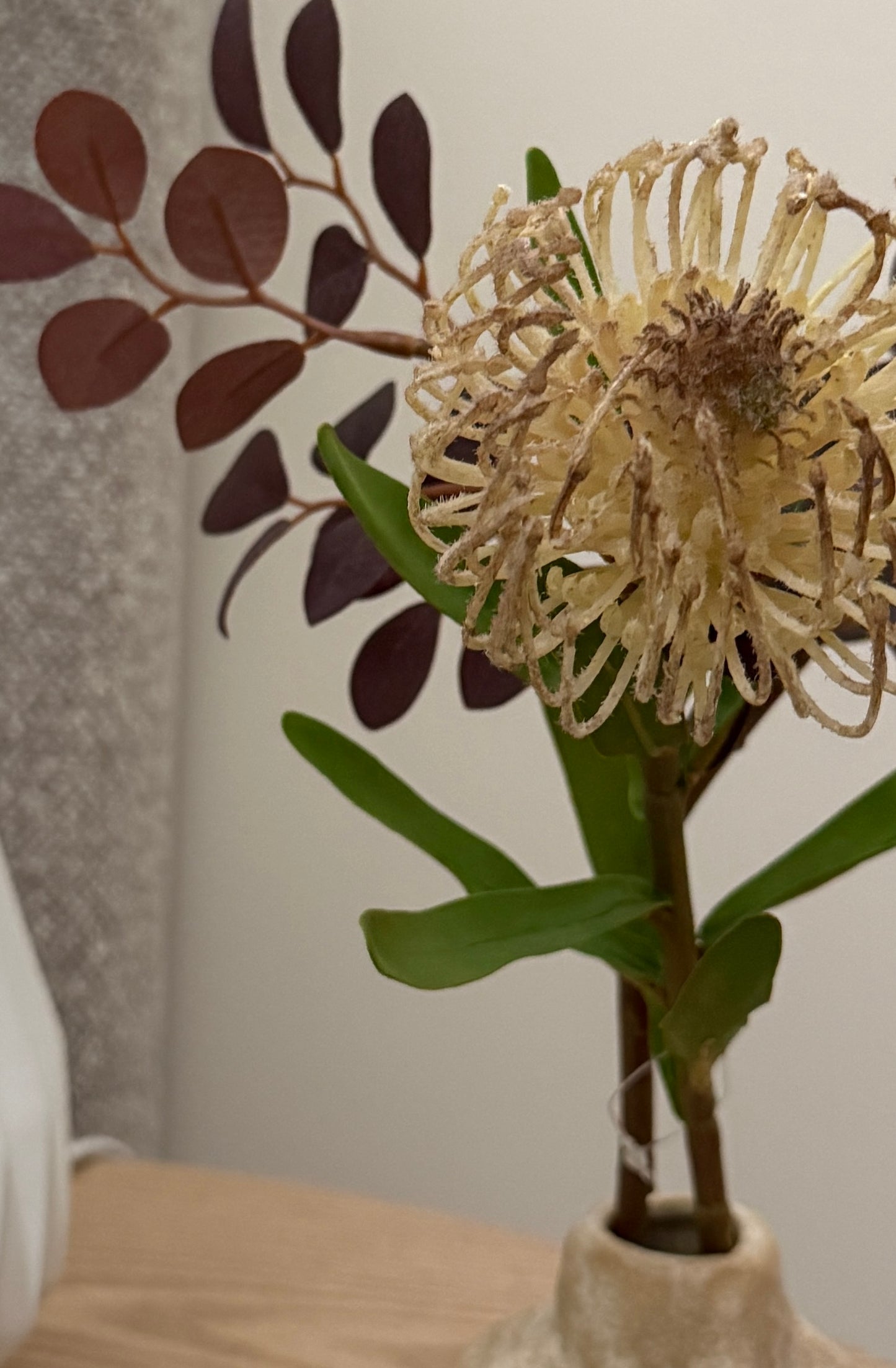 Protea Flower Stem - Nude
