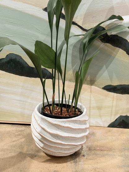 Flowerpot Stripe Ceramic White/Beige Medium