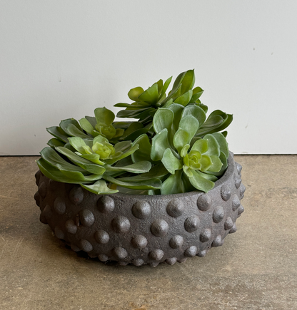 Jade Spike Bowl Planter - Rust