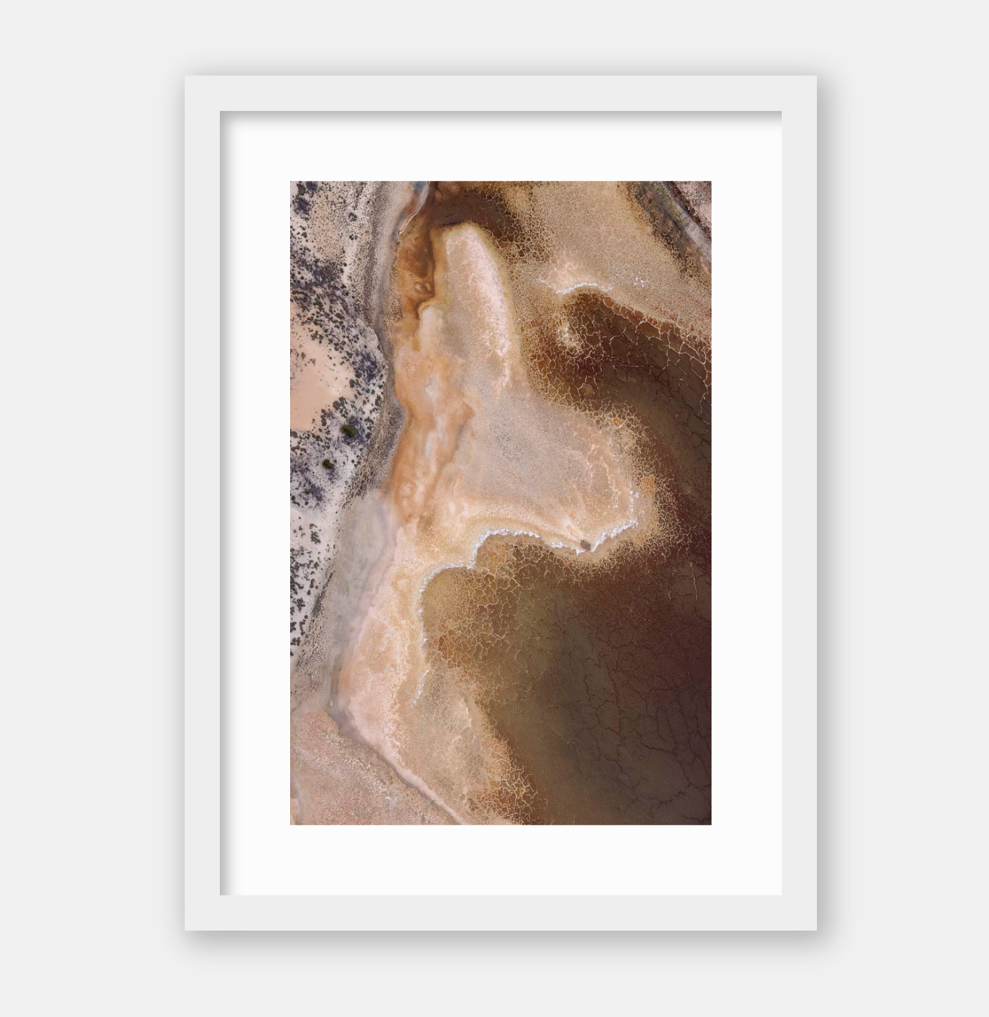 Dried Tones Art Print