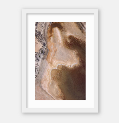 Dried Tones Art Print