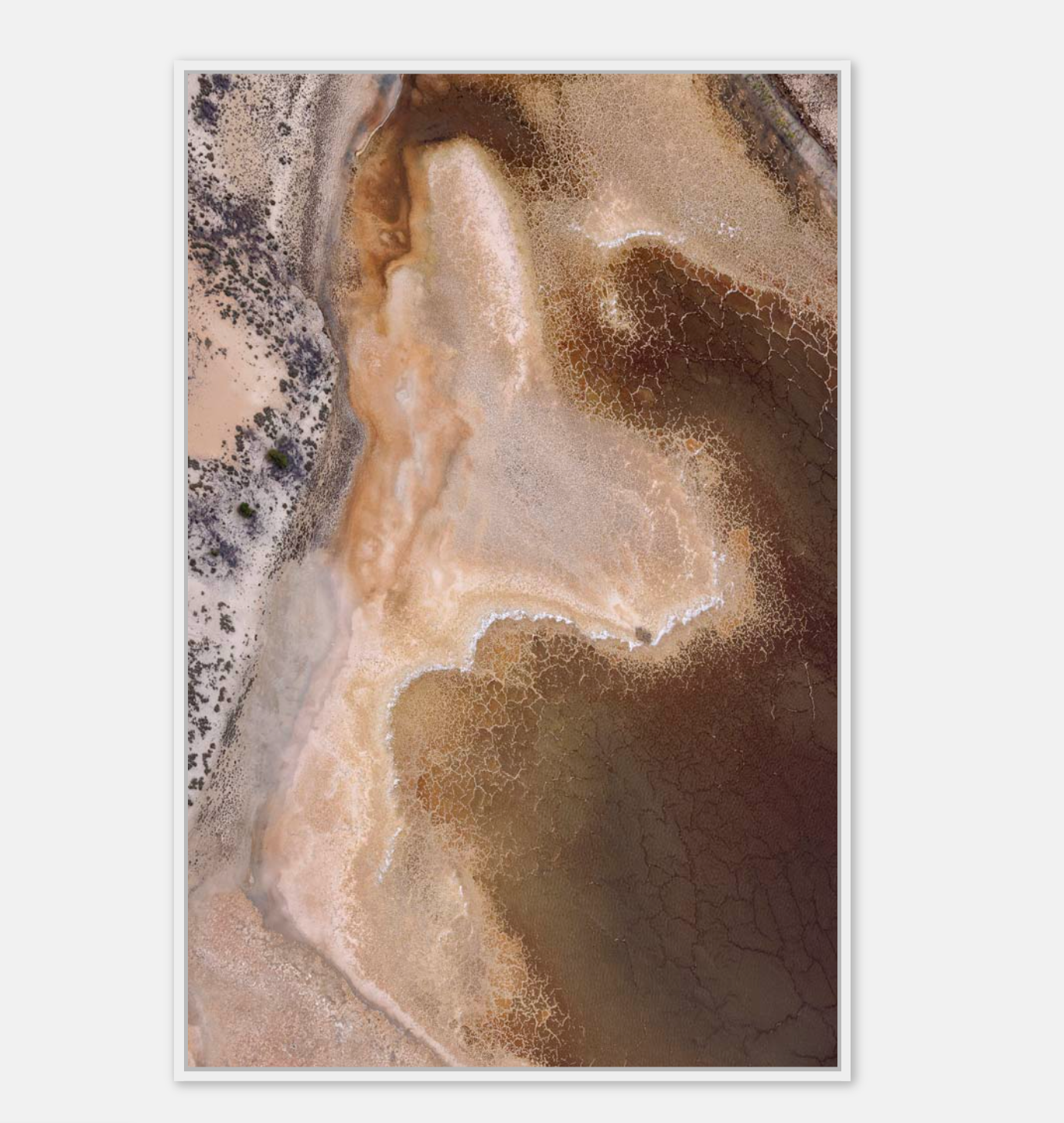 Dried Tones Art Print