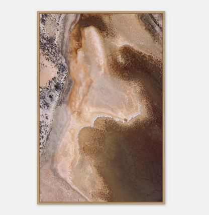 Dried Tones Art Print