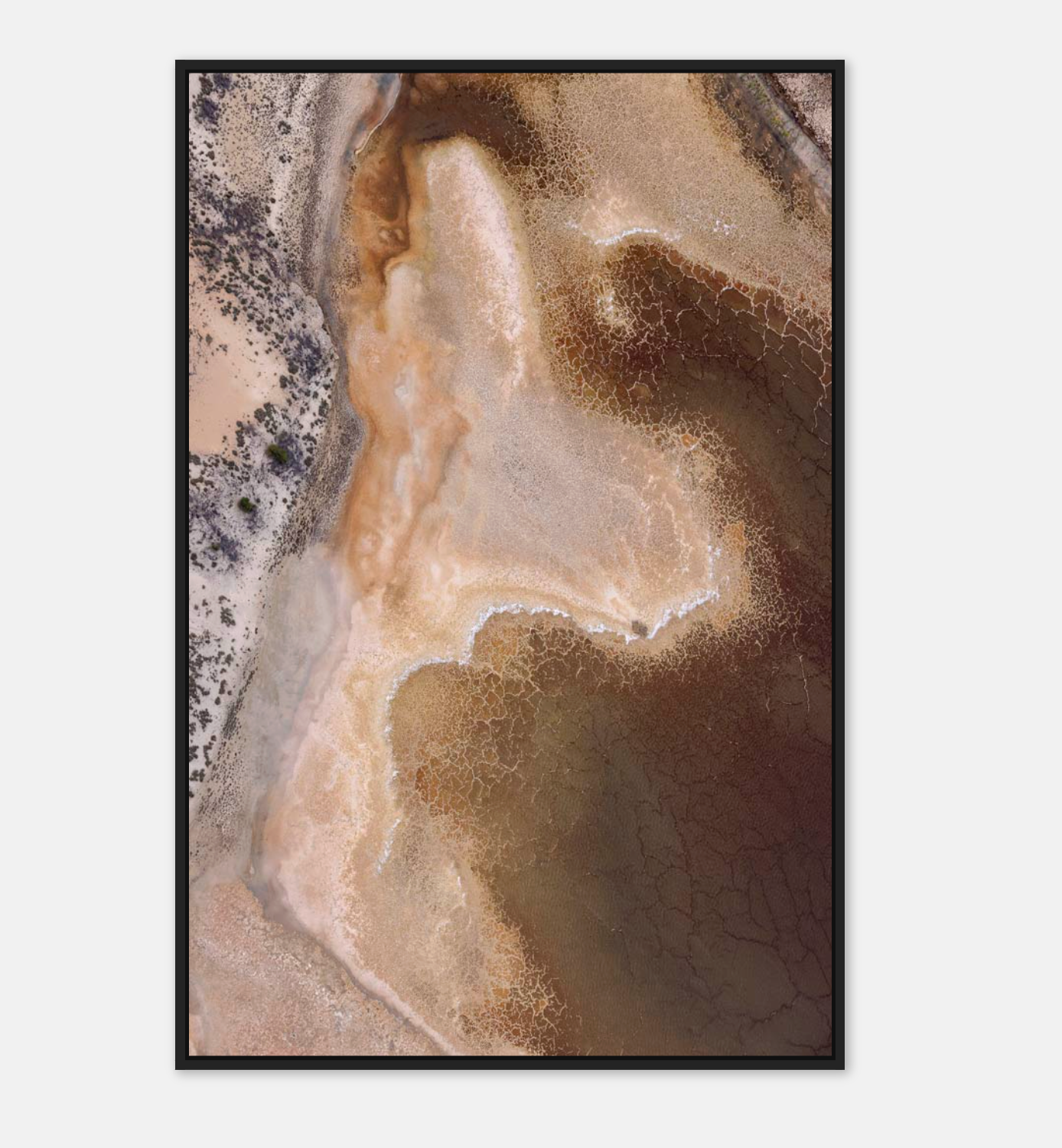 Dried Tones Art Print