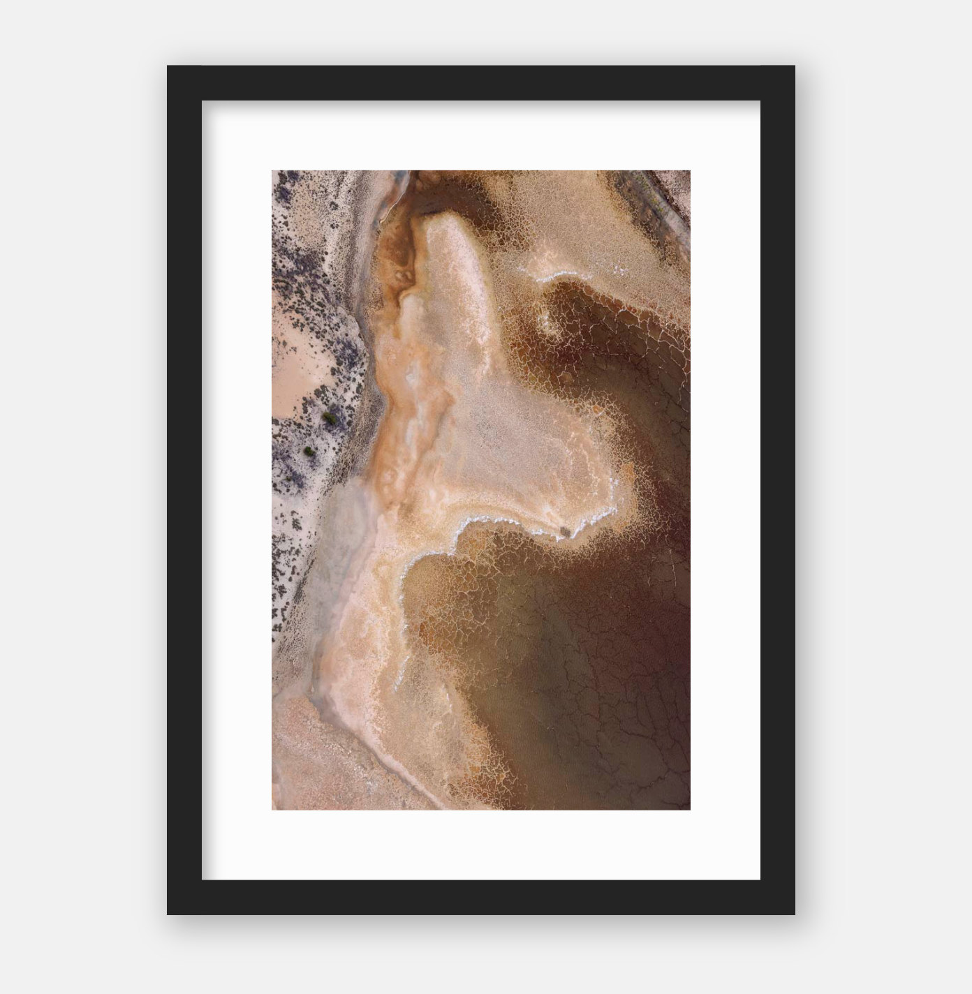 Dried Tones Art Print