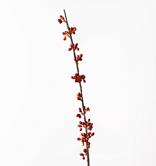 Coffee Bean Spray - Flame