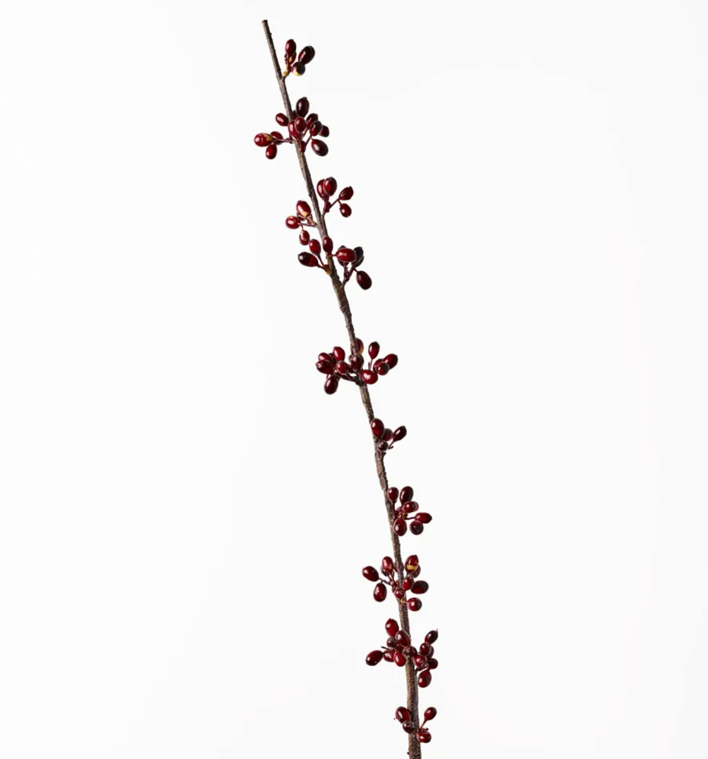 Coffee Bean Spray - Burgundy