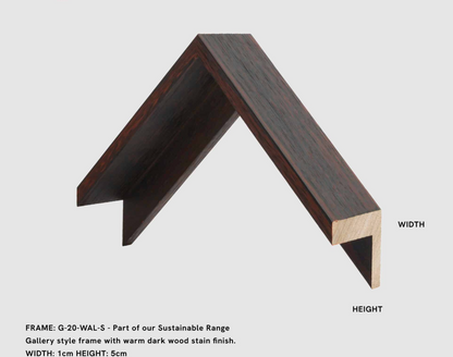 Spiney Murex – Canvas