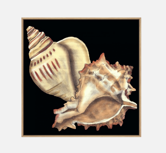 Tandem Shells I – Canvas