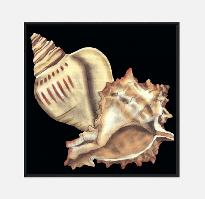 Tandem Shells I – Canvas