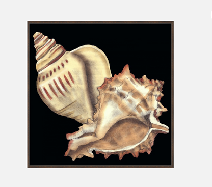 Tandem Shells I – Canvas