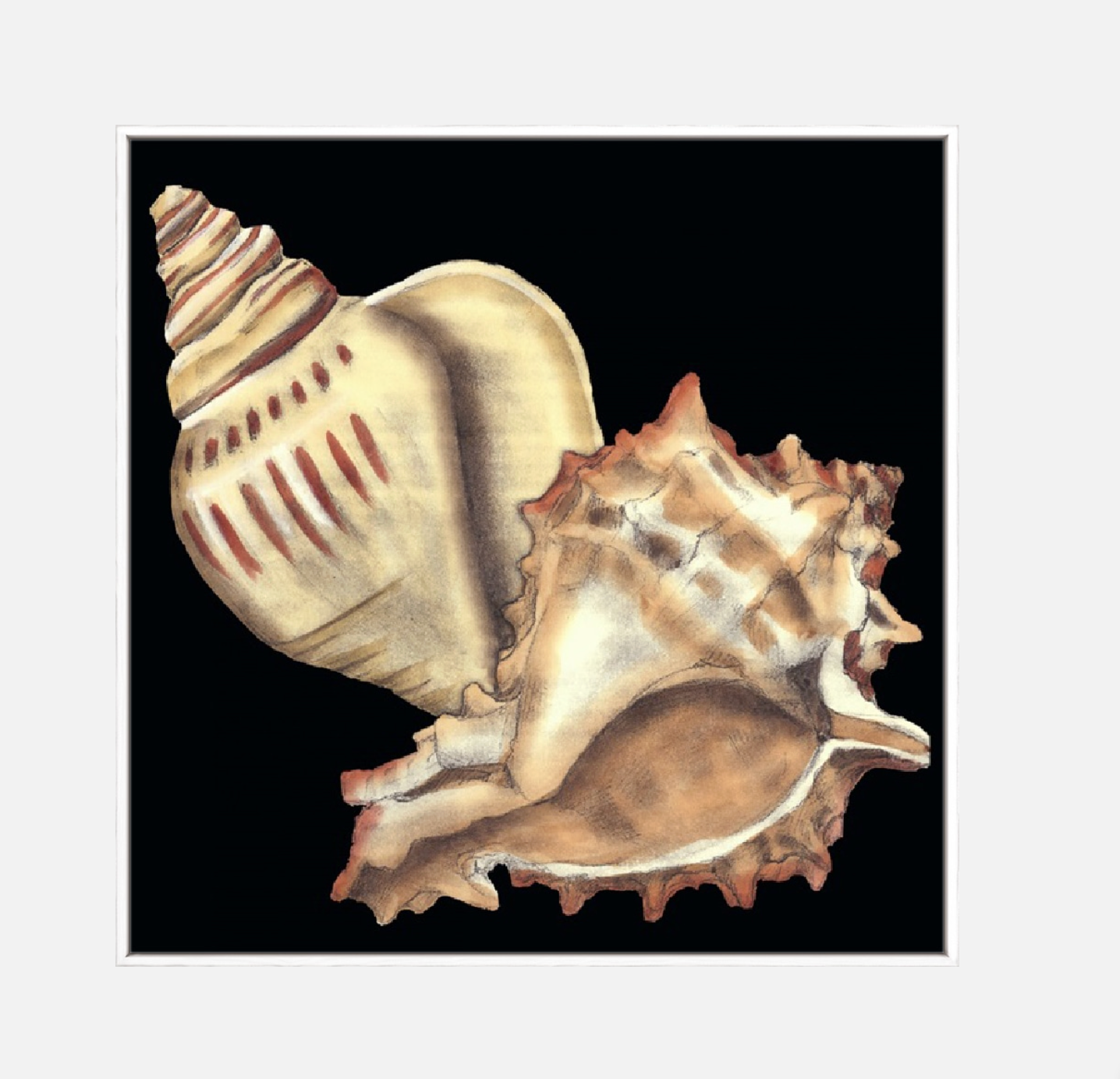 Tandem Shells I – Canvas
