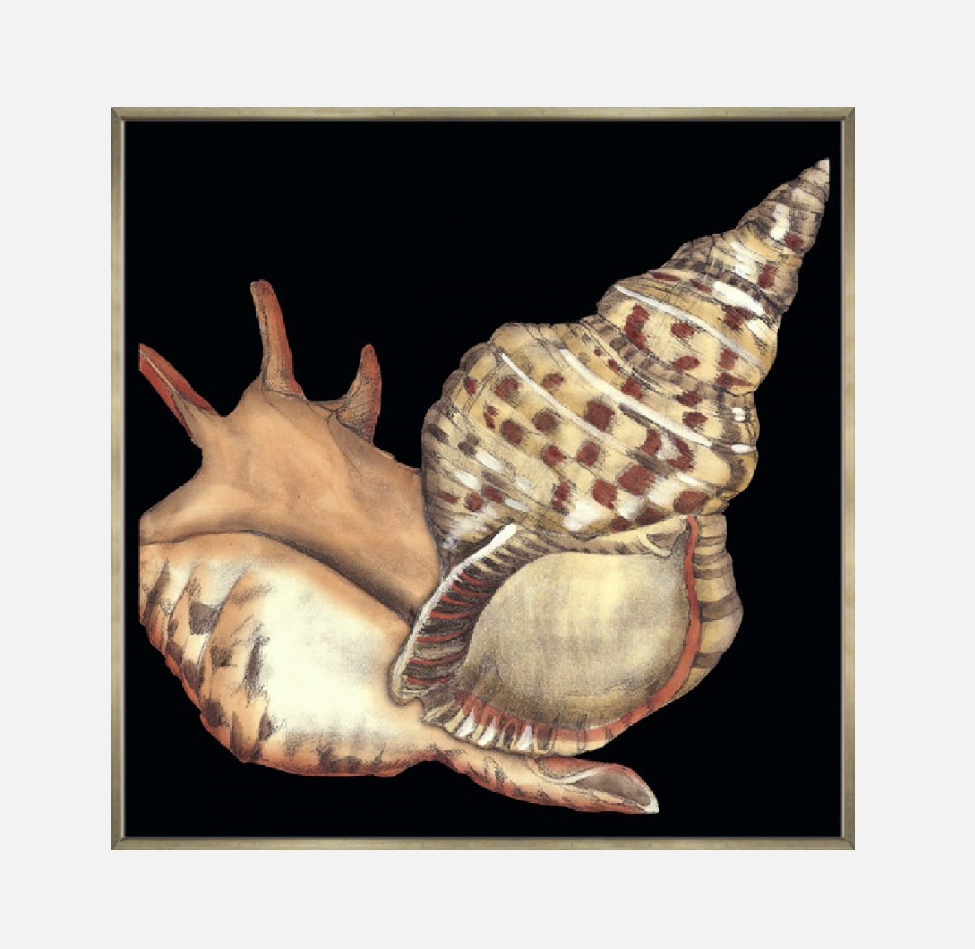 Tandem Shells II – Canvas