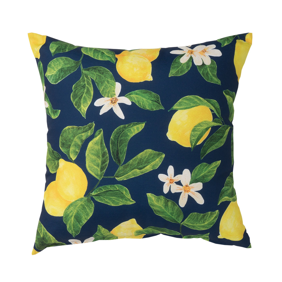 Navy & Lemon Outdoor Cushion