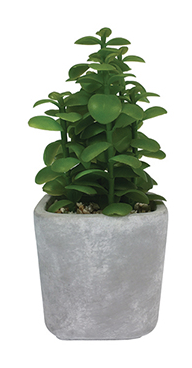 Faux Leafy Green Succulent in Concrete Pot