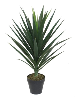 Potted artificial yukka