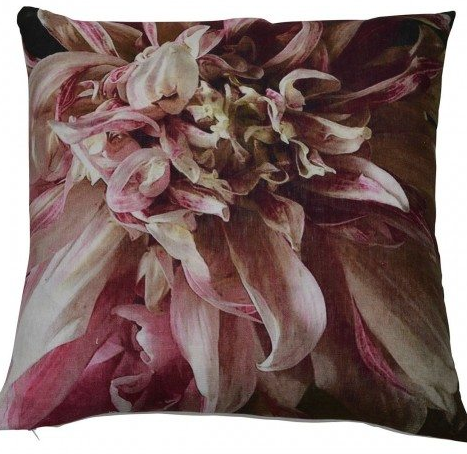 Pink Chrysanthemum Cushion
